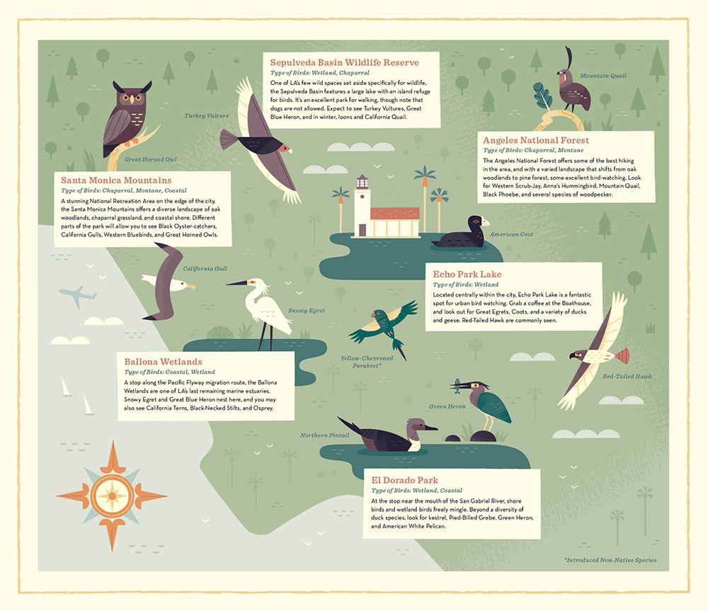 birds of los angeles alexander vidal illustration birds of los angeles alexander vidal illustration